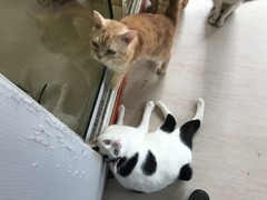 F1A909A0-6C86-4464-A850-79E0DE7B39D3