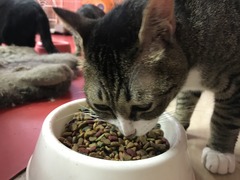 5F5E9338-4423-407C-88C5-13ACA921495C