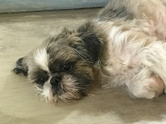 1B7C3342-1D49-45D6-A190-735454ED0D48