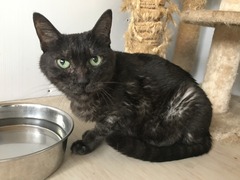 956E16C7-5547-4260-B4E4-4CEACB269E9C