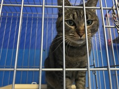 0C5431E1-F338-475C-B65D-706E98C93868