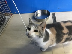 5F97BDAF-3553-44EB-AF7A-C9AD39ED69A2