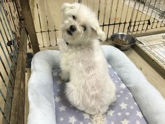 BCF0AA26-0783-4A95-A651-3582B5E2B17C