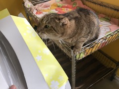 E26F1364-DAC0-48C7-ACED-3767ABB666BB