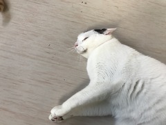 07D60813-6D6A-4FD3-8745-58D4CB285633