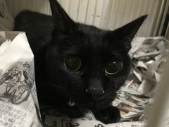 DAC98F1A-D7F0-4E92-8849-931B16F21318