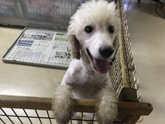 1C636312-41DC-47E9-B0ED-8A725CA1C8DF