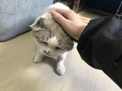 EFD769FD-3CF8-4C60-AFEB-4AD40B9E5BB4