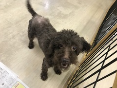 F4CD2CB2-1124-4DB2-A2B8-12351506074C