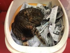 3EC98662-D51D-4246-948E-A3072C0794B5