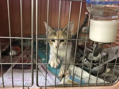 0A5A5209-298C-4CC6-A9FA-B838A878AE7D