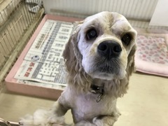 CE9D2F2C-327E-4EFB-96C7-907C0F10B33E