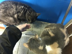 8B57A8E2-2F38-416D-A2E3-147D5334BACA