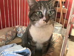 304AC6A4-6A8F-4F2B-A90E-1A013201DB2D