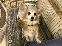 DCA7F879-E9BE-4658-8421-80595D1F3546