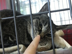 3EA98AB9-E857-4378-A702-CC673C1FD7D4