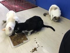 48EA8CD9-2D4F-4002-9C86-F8C76C1B7B4C