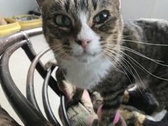 7A837417-B367-4201-844C-BE1A3E215C2E