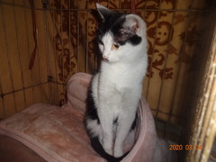 DSC07450