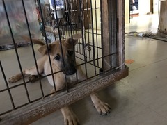 3EA3FFEF-34AB-4C8F-8A05-E02821C7C2CF