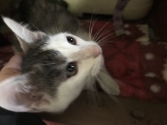 8E9B0F2C-B5D7-4640-A3B5-B873122B8913