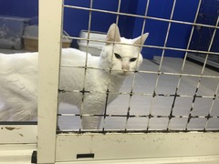 8420D490-3D1B-46D6-98B0-8AD63BE0AE2B