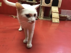 E8B0F95F-8EEA-440D-AE6C-A3153DD23EF2