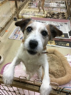 A11C4434-3303-4EDF-82D8-26C8CDCEF640