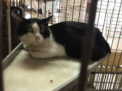 68AA4BA7-8914-451B-8A45-6F0E5A945761