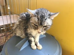 C29C1FF6-46DC-46C0-9563-4DD06FCFF930