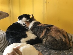 7CE96BE6-5D12-4B67-94E3-89A0ACC6002D