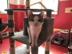 4D5D2E95-7114-44BE-A7A4-C5DA9AFF9355