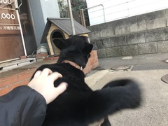 8D34C4D7-EB76-4F9E-BF72-FD5CEE4D3072