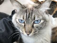 C2CBCFA7-0ED6-4D19-9A2D-C57CADFEBA12