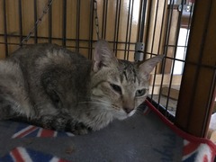 88DE34D4-144C-47EC-821D-363D41071345