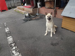 DSC07906