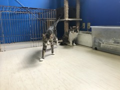 BDFA2103-A7B6-4782-A32A-7861F33E5BE0