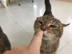 6E24A11F-F8D3-438E-BB01-D9D6E42EBFF5