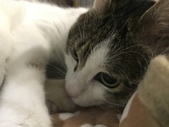 7FA26EC5-5F66-4FC1-8C34-FA0816AEF808