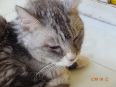 DSC06153