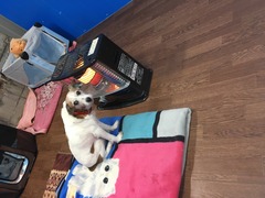 C60A0CA1-37CF-4FEA-8CE1-CFC652EB5CD8