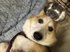 D5E43EC8-ECF7-4CE5-BF8E-0475340529D8