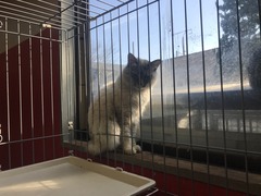 8FF3743F-4CA0-4133-8660-AC6C3B2DD5A3