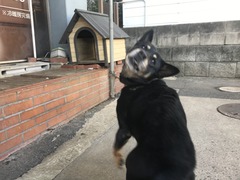 7D8AAD9D-FB56-4AC8-B2C4-04B2F04D9749