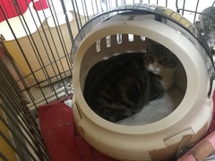 1825AAC7-FD3B-4F7E-8AB0-FA96D64F14F5