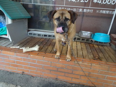 DSC05419
