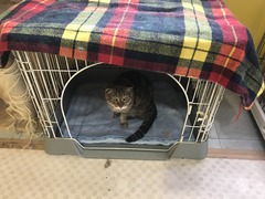 95CF02B0-EEBE-4AB7-A81E-09B3E5DE67FF