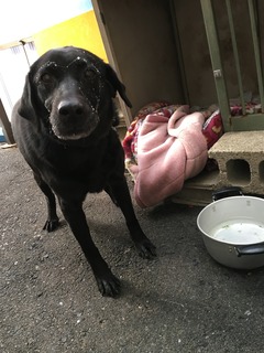 03F7AF30-747D-44A5-9083-E9FA7C8C5F04