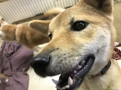 AEC46082-533F-4965-A105-4FD1F381484A