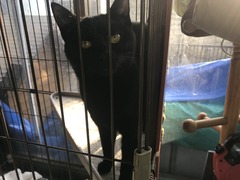 E90778D9-DEB1-40B6-B2E9-452E7931820B